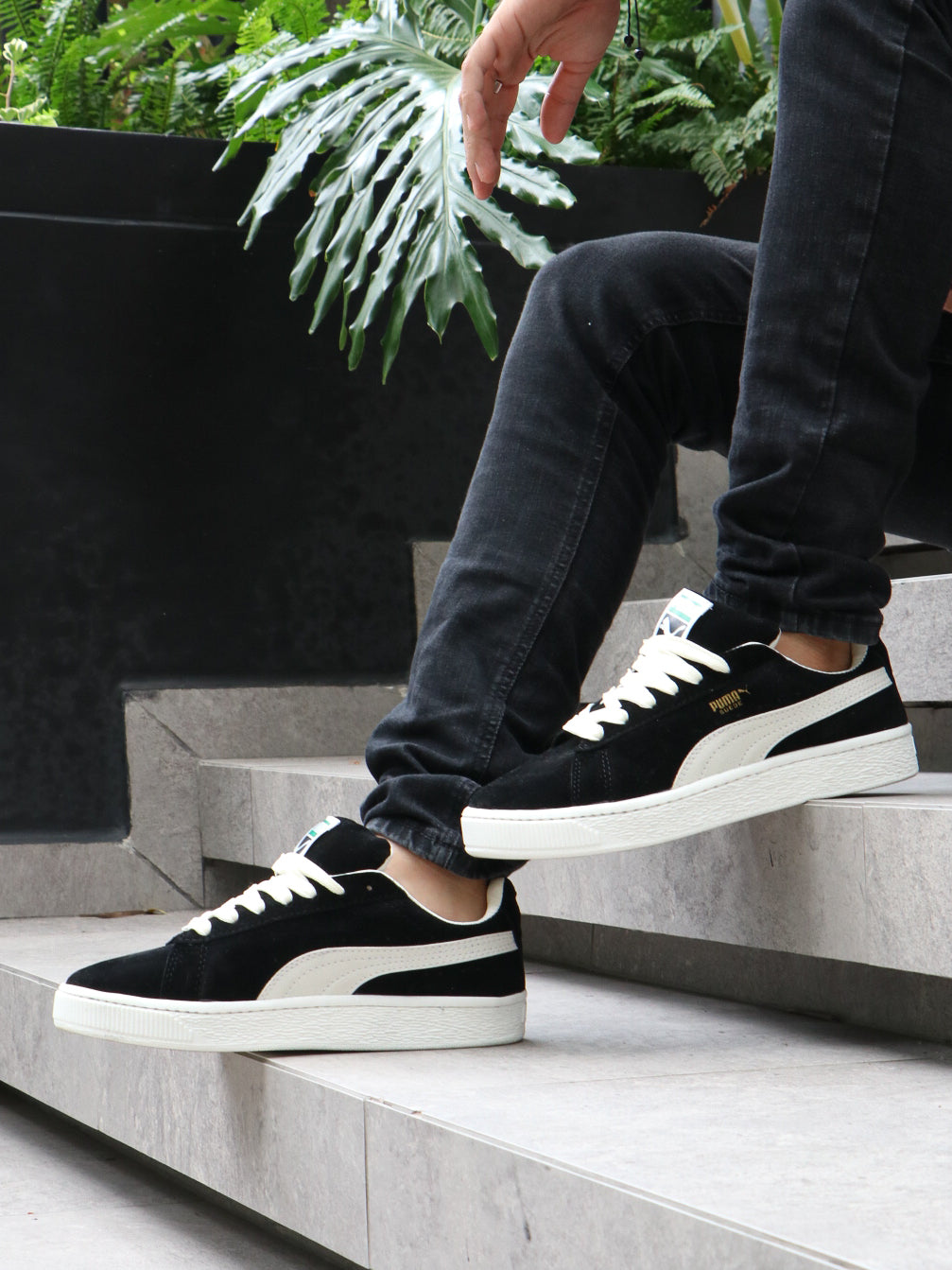 Puma Xl Suede